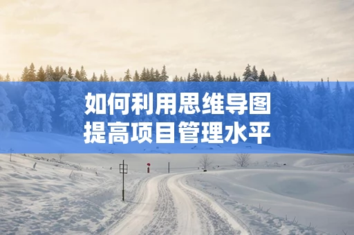 如何利用思维导图提高项目管理水平