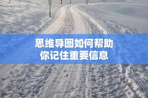 思维导图如何帮助你记住重要信息