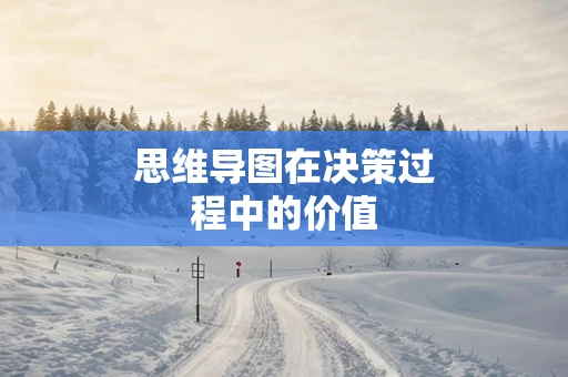 思维导图在决策过程中的价值