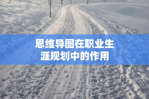 思维导图在职业生涯规划中的作用