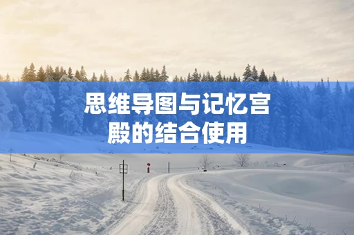 思维导图与记忆宫殿的结合使用