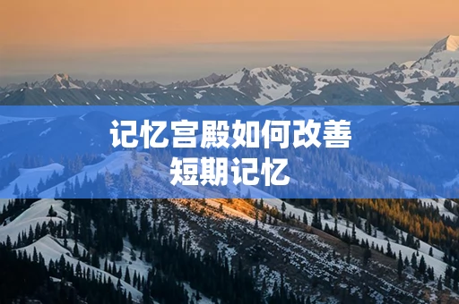 记忆宫殿如何改善短期记忆
