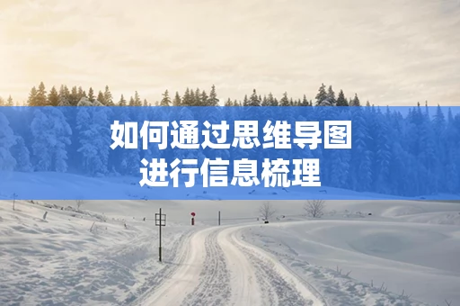 如何通过思维导图进行信息梳理