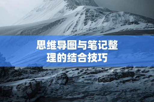 思维导图与笔记整理的结合技巧