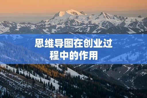 思维导图在创业过程中的作用