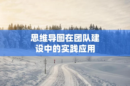 思维导图在团队建设中的实践应用