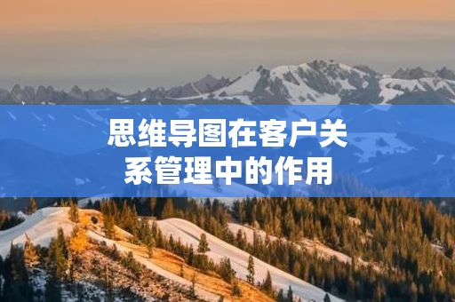 思维导图在客户关系管理中的作用