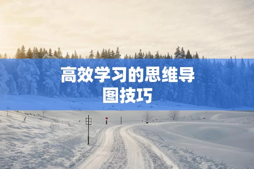 高效学习的思维导图技巧