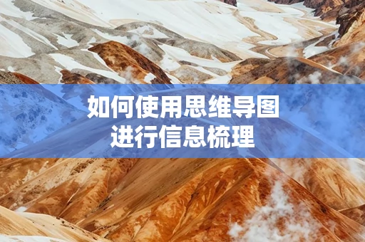如何使用思维导图进行信息梳理