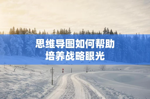 思维导图如何帮助培养战略眼光