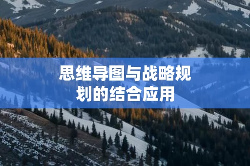 思维导图与战略规划的结合应用