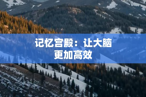 记忆宫殿：让大脑更加高效