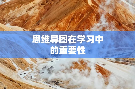 思维导图在学习中的重要性