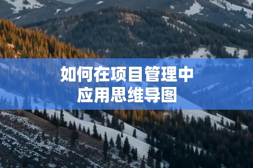 如何在项目管理中应用思维导图