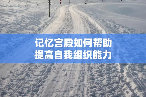 记忆宫殿如何帮助提高自我组织能力