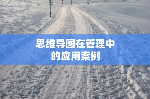 思维导图在管理中的应用案例