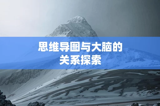 思维导图与大脑的关系探索