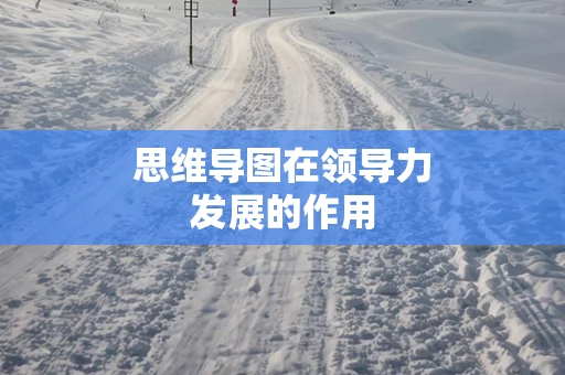 思维导图在领导力发展的作用