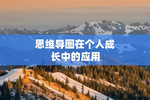 思维导图在个人成长中的应用