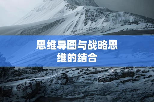 思维导图与战略思维的结合