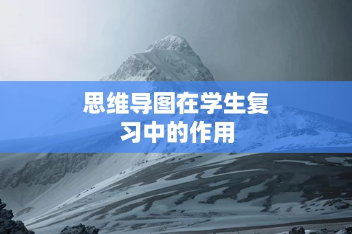 思维导图在学生复习中的作用
