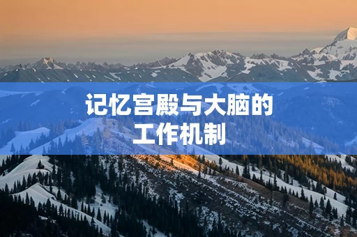 记忆宫殿与大脑的工作机制