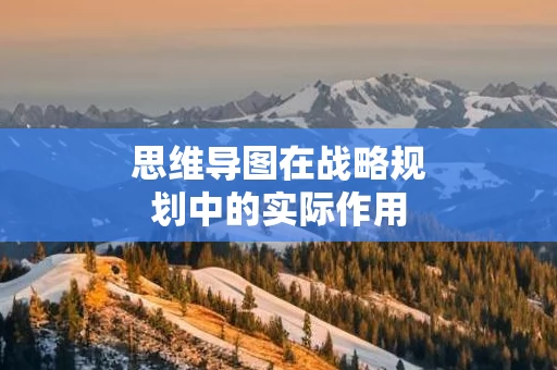 思维导图在战略规划中的实际作用