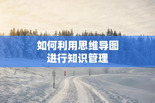 如何利用思维导图进行知识管理