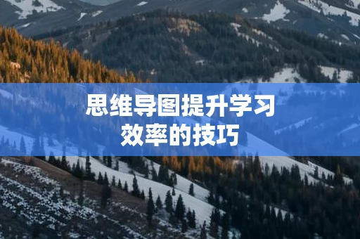 思维导图提升学习效率的技巧
