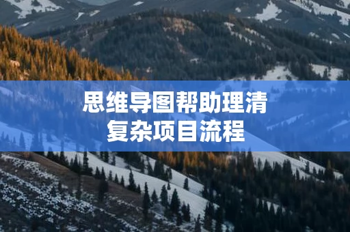 思维导图帮助理清复杂项目流程