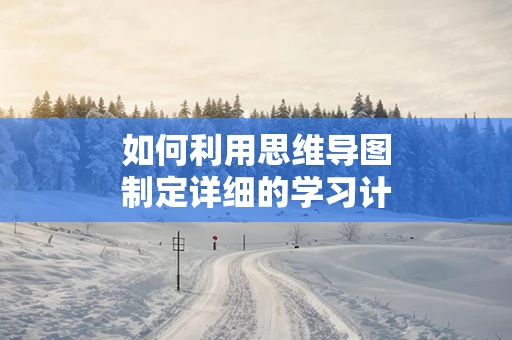 如何利用思维导图制定详细的学习计划