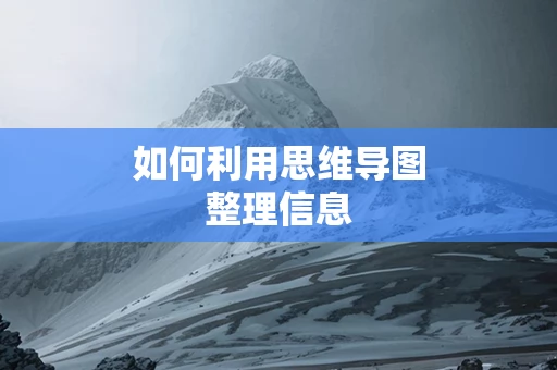 如何利用思维导图整理信息