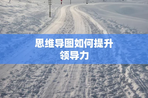 思维导图如何提升领导力