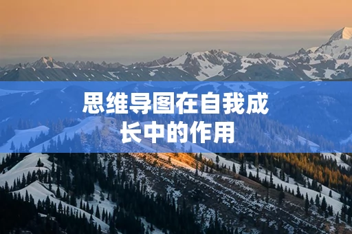 思维导图在自我成长中的作用