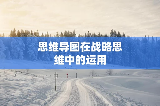 思维导图在战略思维中的运用