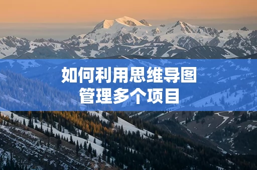 如何利用思维导图管理多个项目
