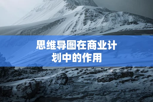 思维导图在商业计划中的作用