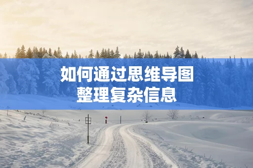 如何通过思维导图整理复杂信息
