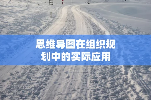 思维导图在组织规划中的实际应用
