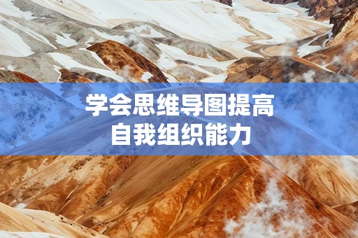 学会思维导图提高自我组织能力