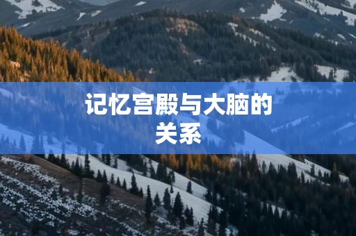 记忆宫殿与大脑的关系