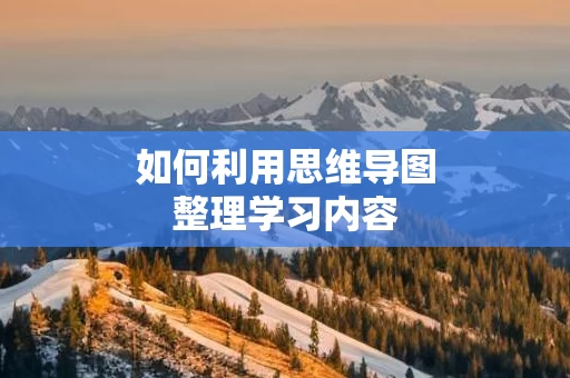 如何利用思维导图整理学习内容