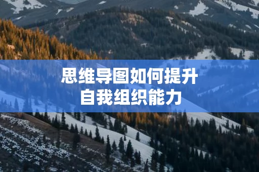 思维导图如何提升自我组织能力