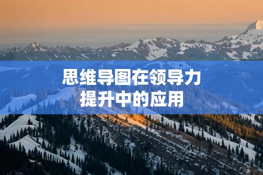 思维导图在领导力提升中的应用