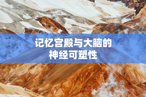 记忆宫殿与大脑的神经可塑性