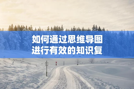 如何通过思维导图进行有效的知识复习