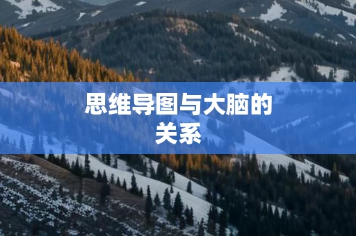 思维导图与大脑的关系