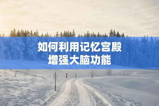 如何利用记忆宫殿增强大脑功能