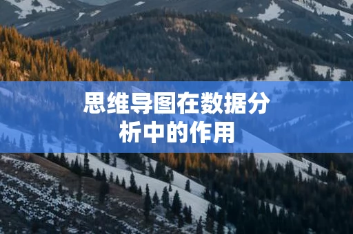 思维导图在数据分析中的作用