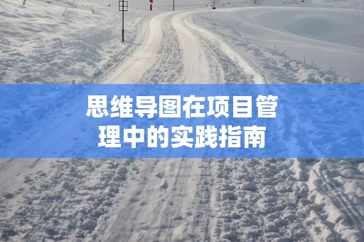 思维导图在项目管理中的实践指南